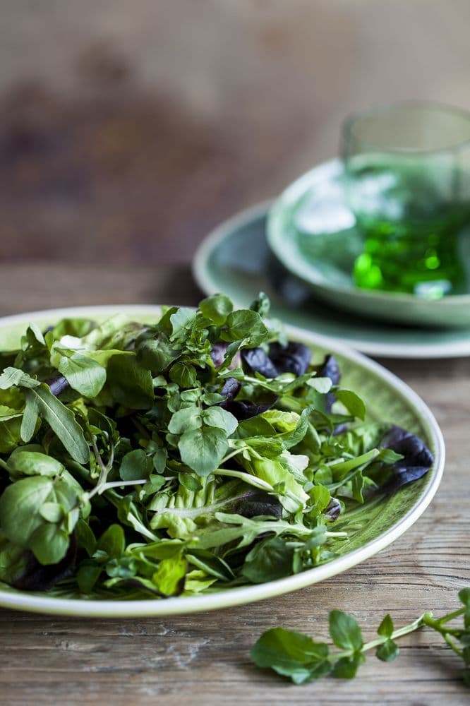23 Nutrition Therapy