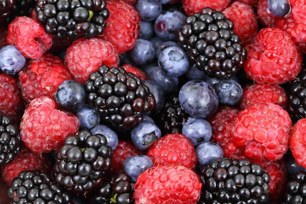 Project Wellness 365