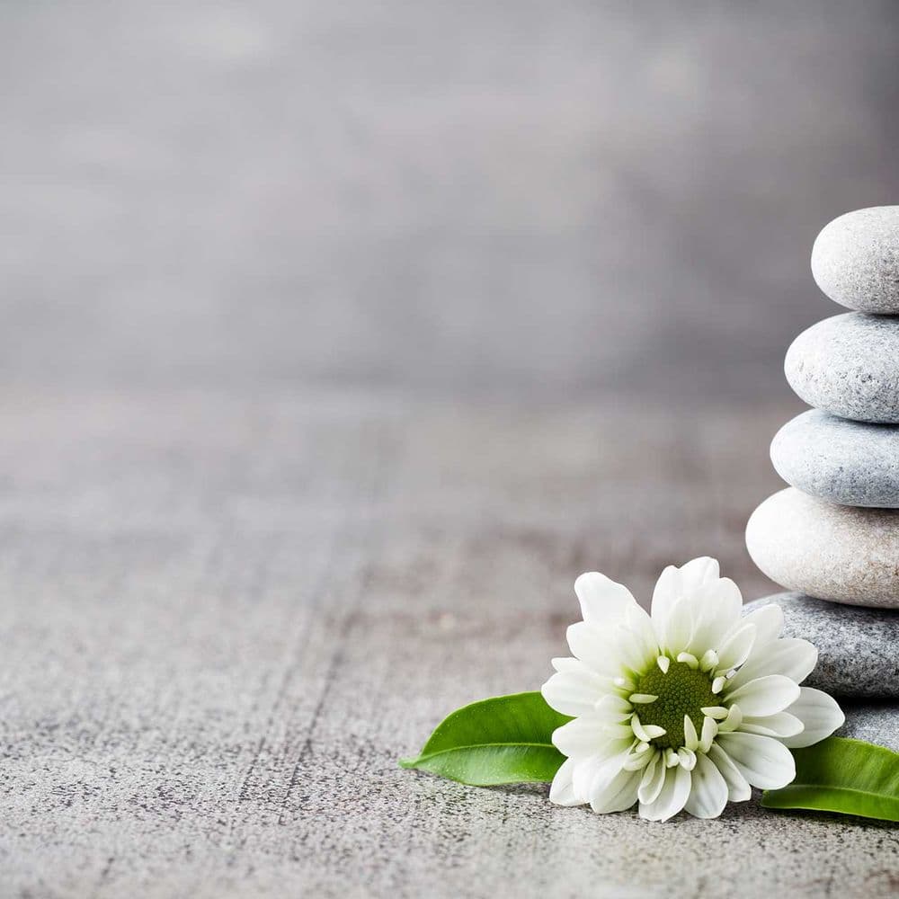 The Wellness Society