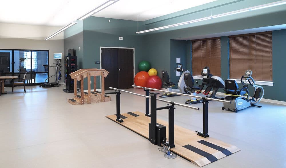 Wellness 4 Prevention